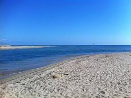 Cruise day with lunch, corsican specialty drink season. Maison Solenzara Vue Mer Plage A Pied A 50 Metres Solenzara Locations Vacances Plage Bord De Mer