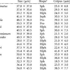 Image result for Pasaccardoa grantii