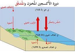 علوم الارض والبيئة الدرس الثاني الدورة البيوجيوكيميائية