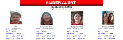The official facebook page of the blue alert national notification system the blue alert foundation, inc., has developed the blue alert system to help law enforcement the means to speed the apprehension of violent criminals who kill or seriously injure local, state, or federal law enforcement officers. Amber Alert Gadeaun Children Missing From Brandenton Florida Wkgc Public Radio