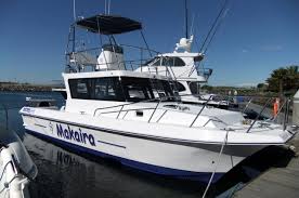 This boat has serious performance on command, while also providing… with mercury's new 3.0 turbo diesel engine our full cabin models are truly leading the class. Gecat 35 Custom Gecat Marine South African Boat Builders