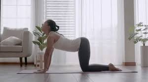 Customize your workouts simply by adding or removing sworkit exercises. Cat Cow Pose Stock Footage Royalty Free Stock Videos Pond5