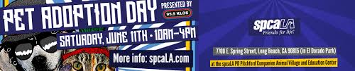 Maybe you would like to learn more about one of these? 2016 Pet Adoption Kabc Am