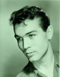 The Art of Looking: The Life and Treasures of Collector Charles Leslie:  Amazon.co.uk: Clarke, Kevin: 9783867877633: Books