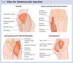 How to give an intramuscular injection in the deltoid muscle. Injection Technique 1 Administering Drugs Via The Intramuscular Route Nursing Times
