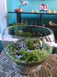 Terrario Terrarios Micro Garden Mini Garden Japan Garden
