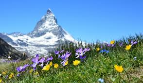 See our supercut with some of the songs from the classic film. 5 Eco Friendly Notes For Life From The Sound Of Music