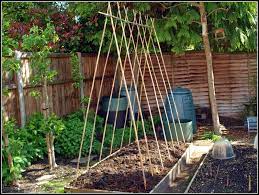 We did not find results for: 11 Runner Bean Support Inspiration Ideas Veggie Garden Vegetable Garden Veg Garden