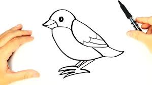 The yumthang valley of flower gets his name rightly as the area is always covered in seasonal flowers. How To Draw A Bird For Kids Bird Drawing Lesson Step By Step Youtube