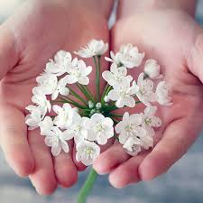 Flowers foods offers food delivery for the convenience of its clients. Obituaries In Crossville Tennessee Home Facebook