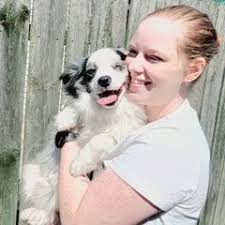 25 cute Toy Australian Shepherd puppies for sale in Oklahoma City, Oklahoma 