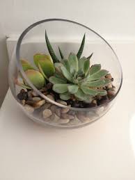 Succulents have a unique shape with décor, sometimes less is more. Sprinkling Decorating With Succulents Around The House