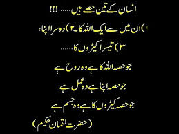 Pin By Rizwana Danish On Rizwana Wisdom Quotes Islamic Quotes