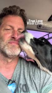 This is what true love looks like 🥰#dogs #dogsoftiktok #doglover
