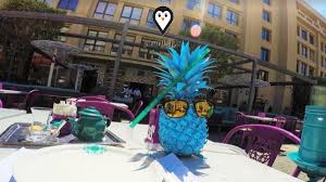 كافيهات الشيخ زايد – دليلك الشامل لمطاعم وكافيهات الشيخ زايد - فيزيت جايد