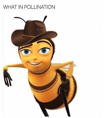 Bee What In Tarnation Bee Movie Memes Bee Movie Memes