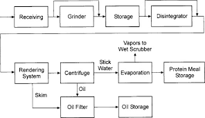 Rendering Process An Overview Sciencedirect Topics