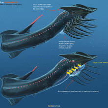 Below zero guides all subnautica below zero guides! Shadow Leviathan Subnautica Below Zero Wiki Fandom