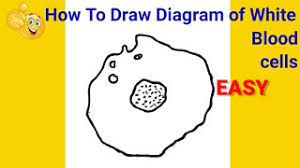 Check spelling or type a new query. How To Draw White Blood Cells Step By Step For Beginners How To Draw White Blood Cells Wbcs Youtube