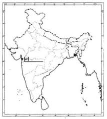 Pin By Safiacbse On Previous Year Question Papers Sample Paper Social Science Hindi Medium