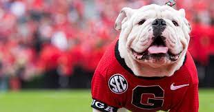 National Dog Day A Look Back At All Of Our Ugas