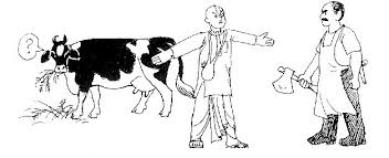 Image result for Cow Protection CARTOON