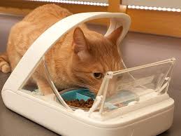 The special automatic cat feeder for multiple cats is important if you have one cat that requires a special diet and other cats mustn't steal that special food. Best Automatic Cat Feeders In 2020 Petsafe Super Feeder And More Business Insider