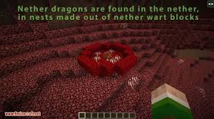 Ender dragon is one of the most robust bosses of minecraft bedrock edition. Realm Of The Dragons Mod 1 12 2 1 11 2 Dragon Mounts Remake Minecraft Fortnite Pubg Roblox Hacks Cheats Dragon Pet Dragon How To Play Minecraft