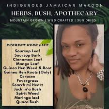 Jamaican Soap Bush Plant