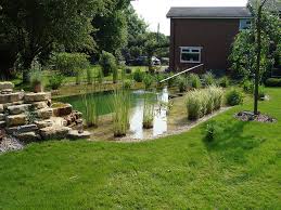 Natural Swimming Pools Warwickshire Swimming Pond Design Staffordshire Eco Pools Warwickshire Water Garden Natural Swimming Ponds Swimming Pond Pond Design