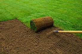 If the soil is firm, lift a corner of the sod in several places. Caring For Your New Sod Lawn