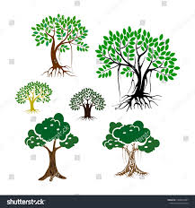 Безплатна застраховка при пътуване в чужбина. Tree With Roots Cartoon Images Roots Edible Root Gumamela Flower Leaf Root Crop Canvas Review