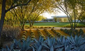 Depth of Field: Exploring Landscape Photography through Design and Light