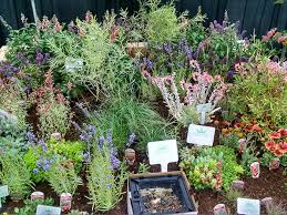 Visa check card far west nursery mc. Farwest Show Recap Behind The Scenes In Portland Oregon