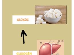 Keress a világ legátfogóbb teljes szöveges könyvindexében. A Ketogen Dieta Biokemiaja Roviden Keto Kerdes