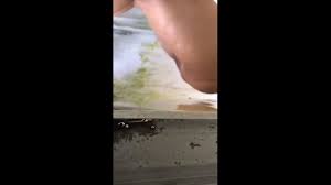 Polwan Bondol Ngentot Crot Di Muka Menyajikan Adegan Sensual Hasrat Terlarang