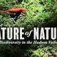 The Nature of Nature: Biodiversity in the Hudson event image