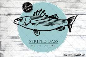 Download Striped Bass Fish Svg Design Files Hand Drawn Fishing Vector Clipart Cricut Silhouette Cameo Png Eps The Silhouette Queen