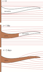 We are rooting for your hair! Schematic For Root Hair Growth The Root Hair Geometry Remains Download Scientific Diagram