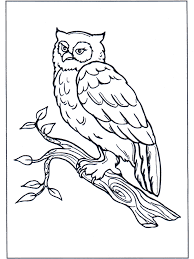Buho En Una Rama Ausmalbilder Eulen Malvorlage Eule Ausmalbilder Vogel