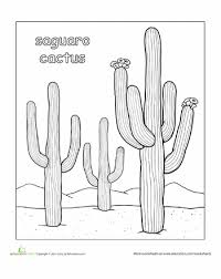 Practice creative coloring and shading with our desert coloring pages. Color The Saguaro Cactus Worksheet Education Com Cactus Drawing Saguaro Cactus Cactus
