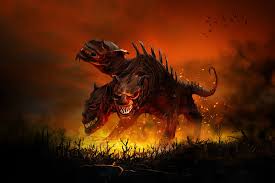 Image result for Atractus cerberus