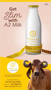 A2 Milk Can Help You Reduce Your Waistline Naturally So Make A2 Milk Your Diet Partner For A Healthy You To Know More Ca Milk Brands Milk Cow Milk Benefits