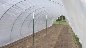 Fatal accident closes Waldo-University intersection