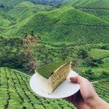 Air terjun parit di kampung sedia, tanah rata. 13 Tempat Wajib Singgah Di Cameron Highland Remaja