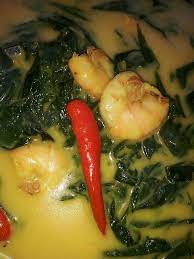 Akarnya mengandungi betulin dan sebatian triterpenoids. Jom Masak Panduan Step By Step Resepi Seminit Daun Facebook