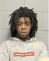 ᐅ Illinois Criminal Records 2009-2025