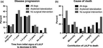 Late Onset Laryngeal Paralysis Owner Perception Of Quality Of Life And Cause Of Death Veterinary Medicine And Science X Mol