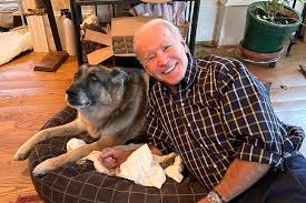 The first dog made it through eight years in the white house without biting anyone. 15 Presidents And Their Dogs American Kennel Club