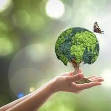 Maybe you would like to learn more about one of these? Rolim De Moura Ro Ligue Certo